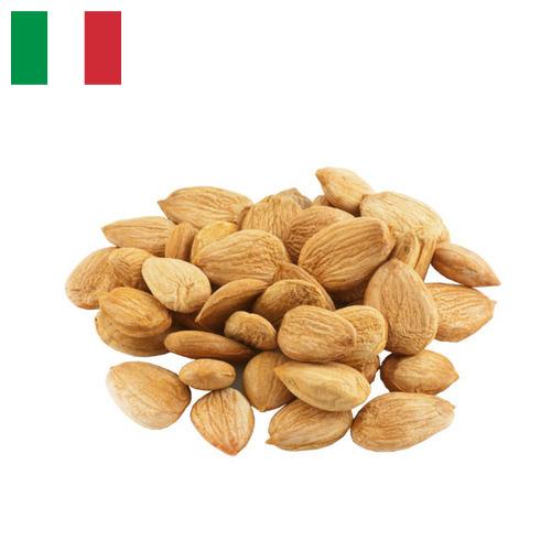 Абрикосовые косточки из Италии