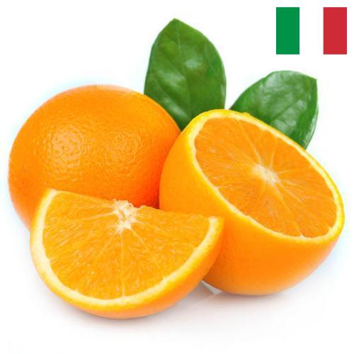 Апельсины из Италии
