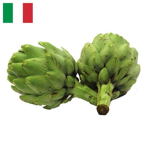 артишок из Италии