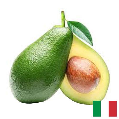 Авокадо из Италии