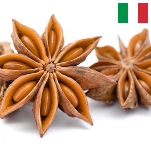Бадьян из Италии