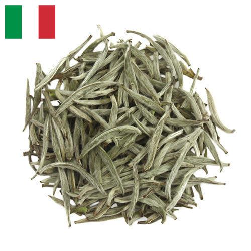 Белый чай из Италии