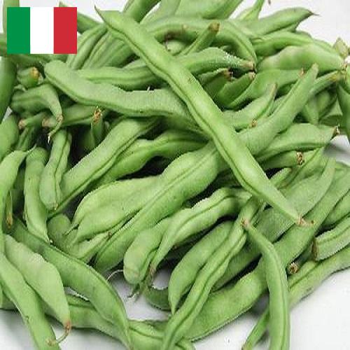 Бобы из Италии