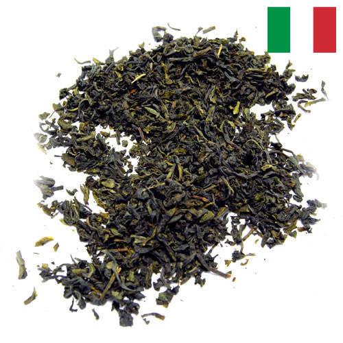 чай крупнолистовой из Италии