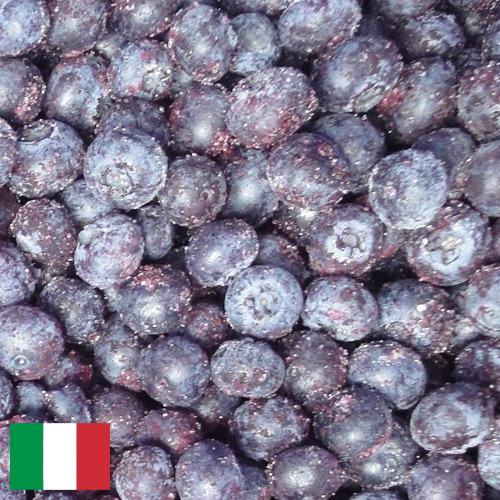 черника замороженная из Италии