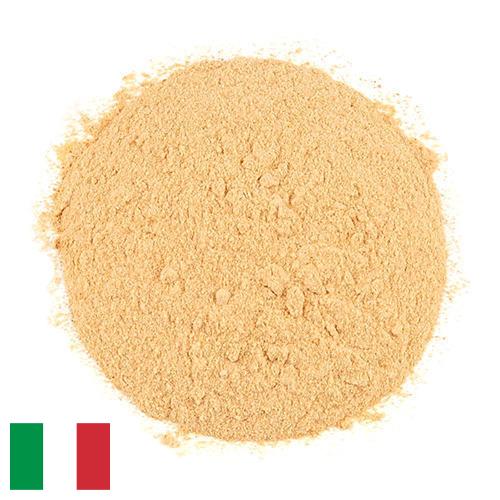 чеснок порошок из Италии