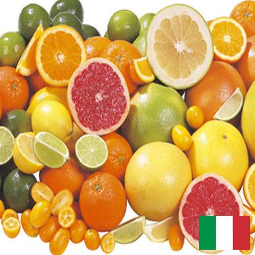 Цитрусовые фрукты из Италии