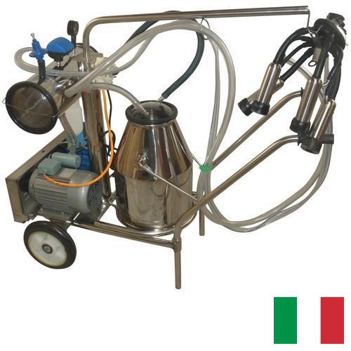 Доильные аппараты из Италии