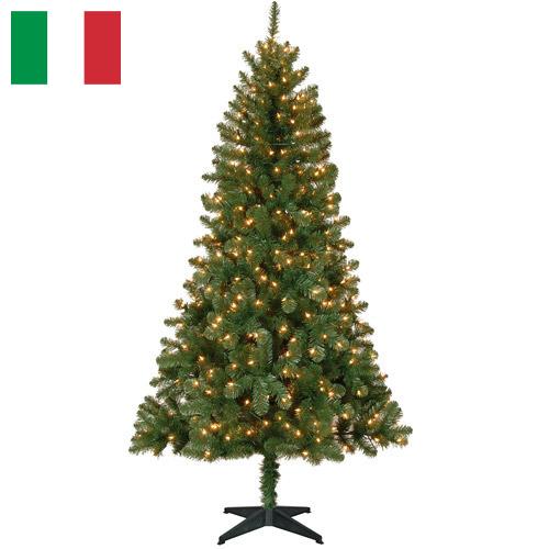 Елки новогодние из Италии