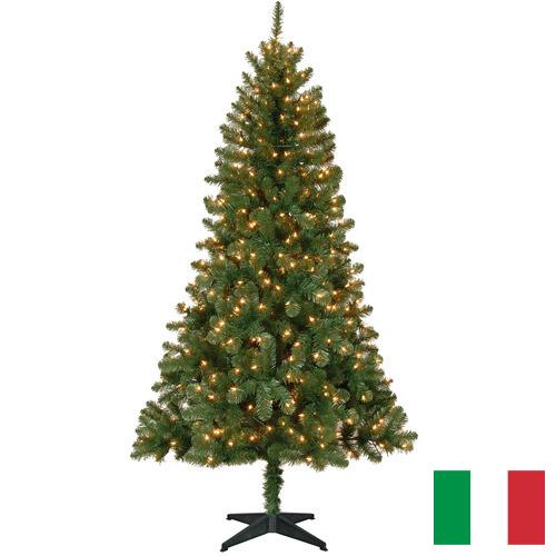 елки из Италии