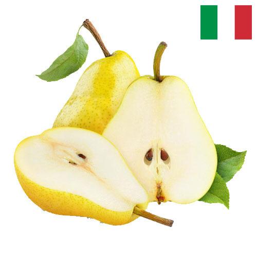 Груши из Италии