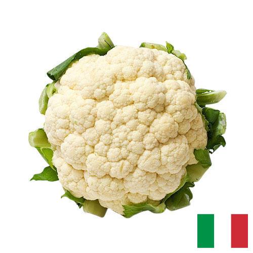 Капуста цветная из Италии