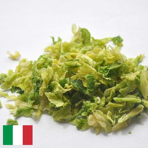 капуста сушеная из Италии