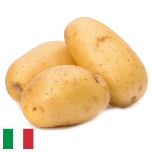 картошка из Италии