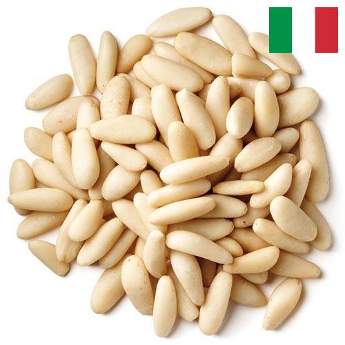 Кедровые орехи из Италии