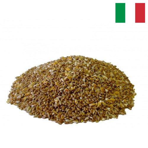 Корма для птицеводства из Италии