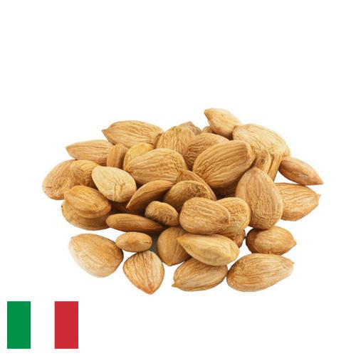 косточки абрикоса из Италии