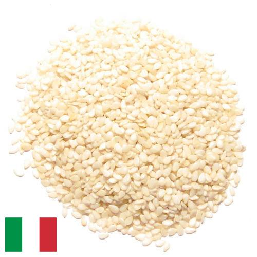 кунжут семена из Италии