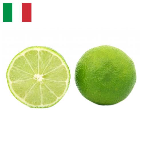 лайм из Италии