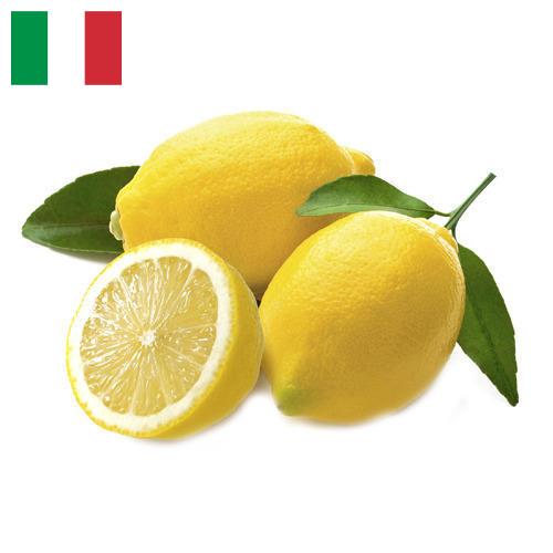 лимон свежий из Италии