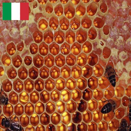 мед оборудование из Италии