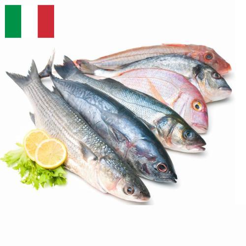 Морепродукты из Италии