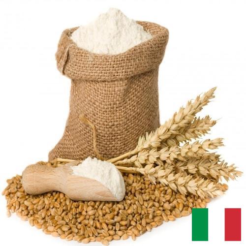 мука пшеничная первый сорт из Италии