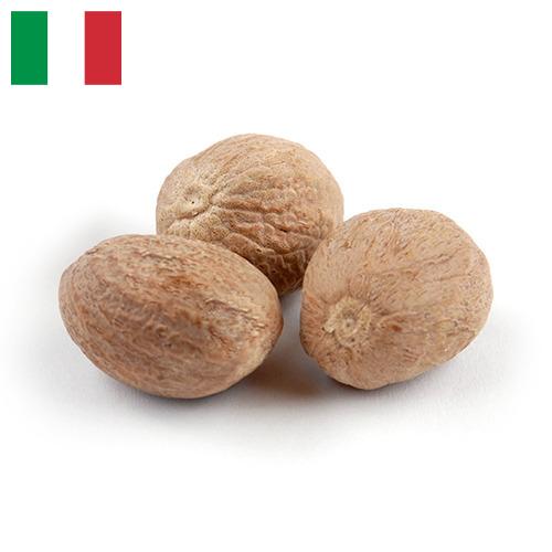 Мускатный орех из Италии