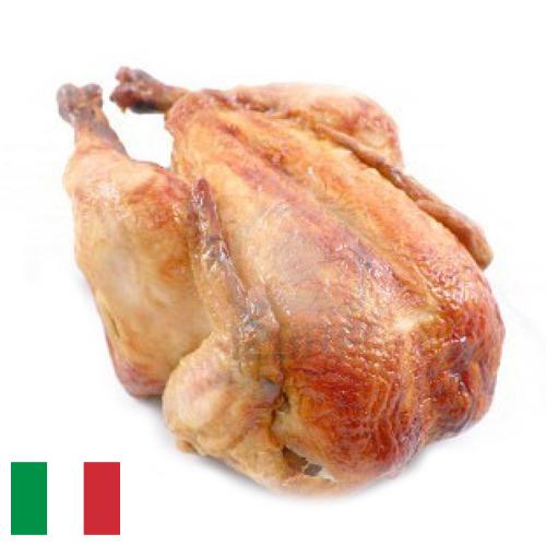 мясо куриное из Италии