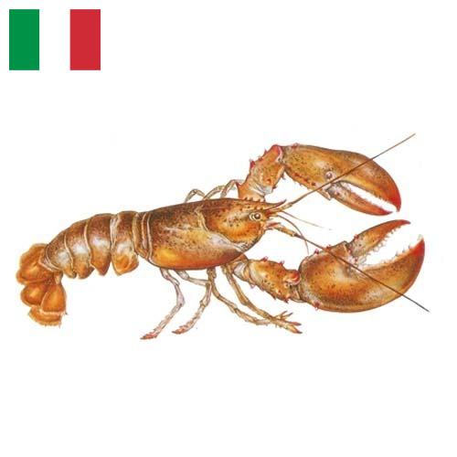 Омары из Италии