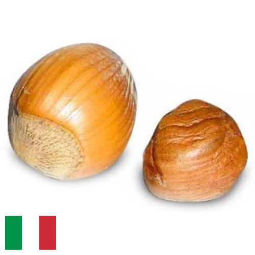 орех фундук из Италии