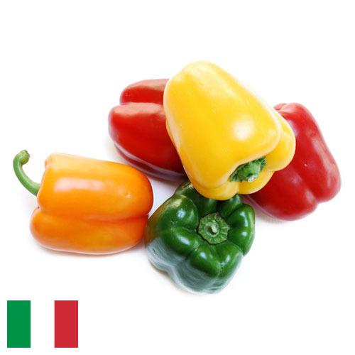 перец сладкий свежий из Италии