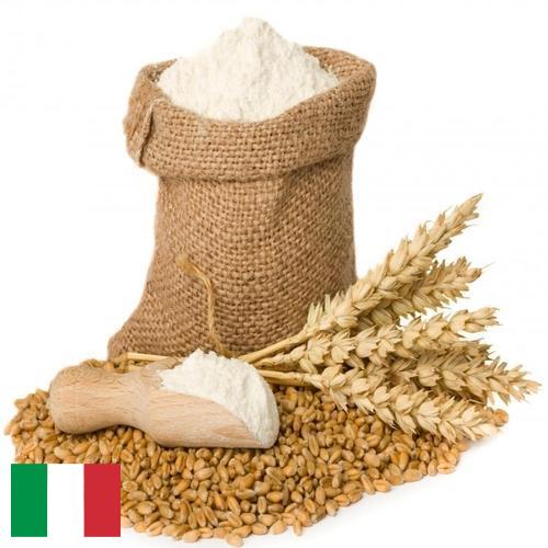 Пшеничная мука из Италии