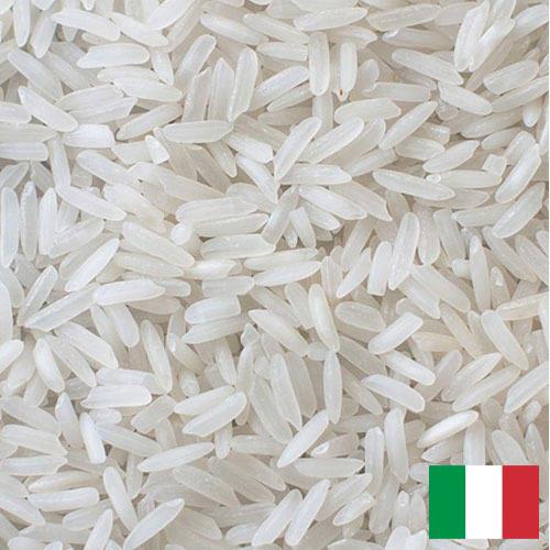 рис длиннозерный из Италии