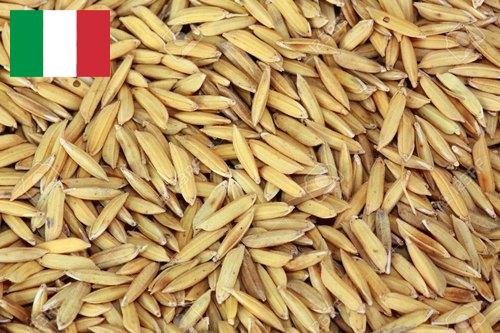 рис сырец из Италии