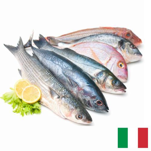 рыба и морепродукты из Италии