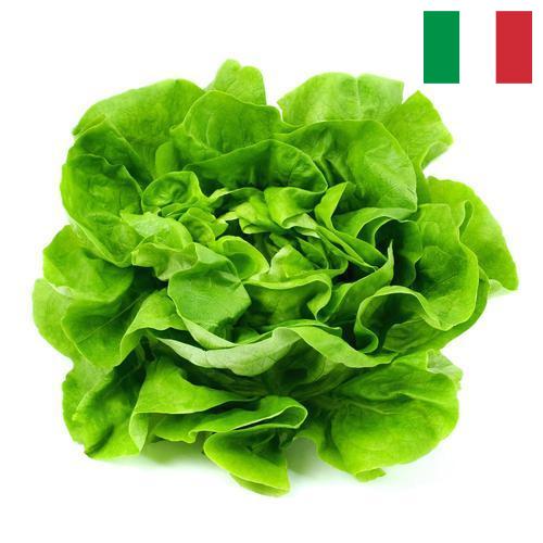 салат из Италии