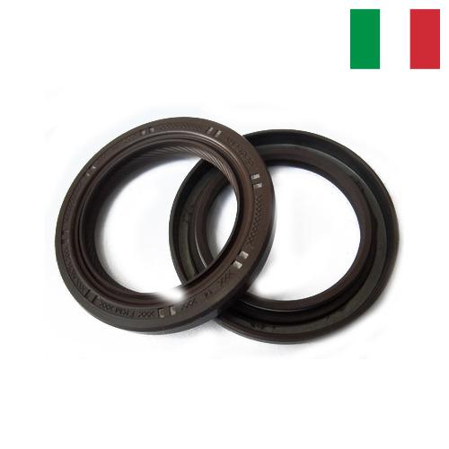 Сальник коленвала из Италии