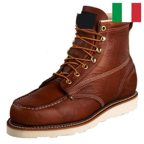 Сапоги мужские из Италии