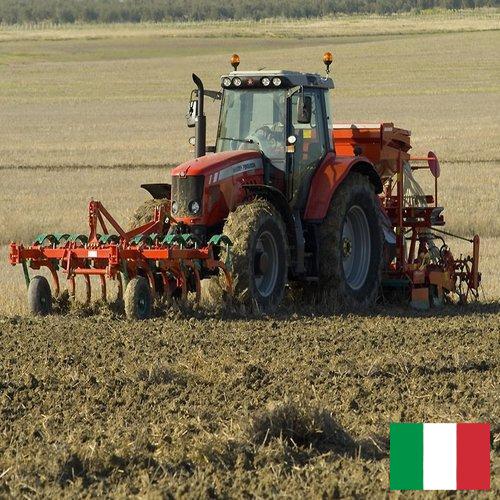 Сельскохозяйственная техника из Италии