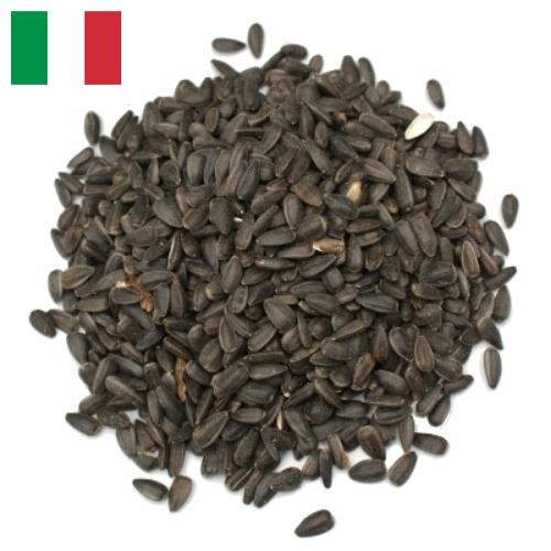 Семена цветов из Италии