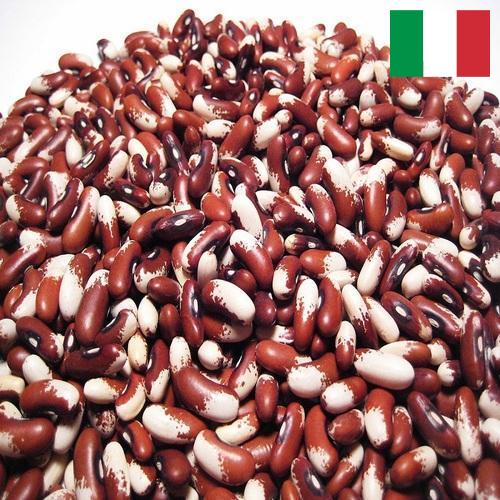 Семена фасоли из Италии