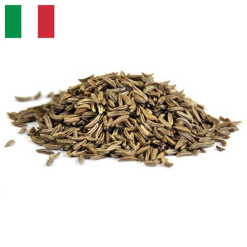 Семена фенхеля из Италии