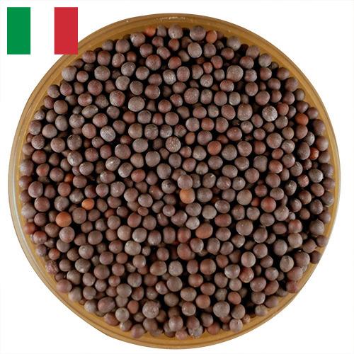 семена горчица из Италии