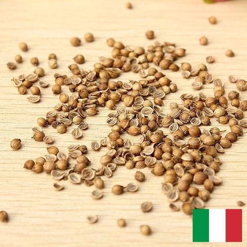 Семена овощей из Италии