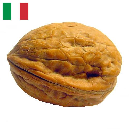 Скорлупа грецкого ореха из Италии