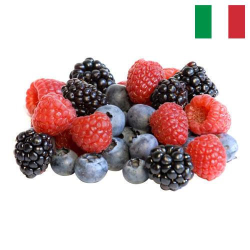 сублимированные ягоды из Италии