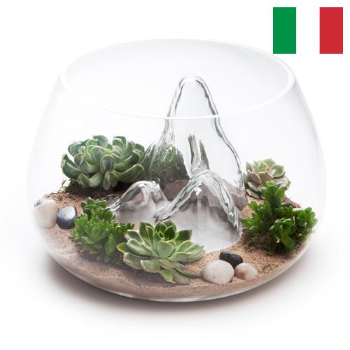 Террариумы из Италии