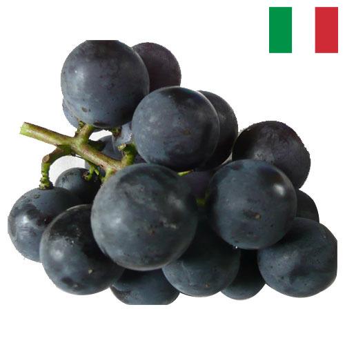 виноград столовый из Италии