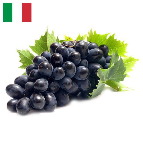 Виноград из Италии